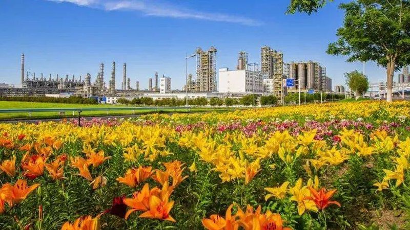 精细化工产品分类解析：价格背后的技术逻辑