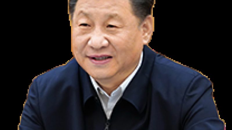 工业添加剂规格参数解读：标准背后的关键要素**